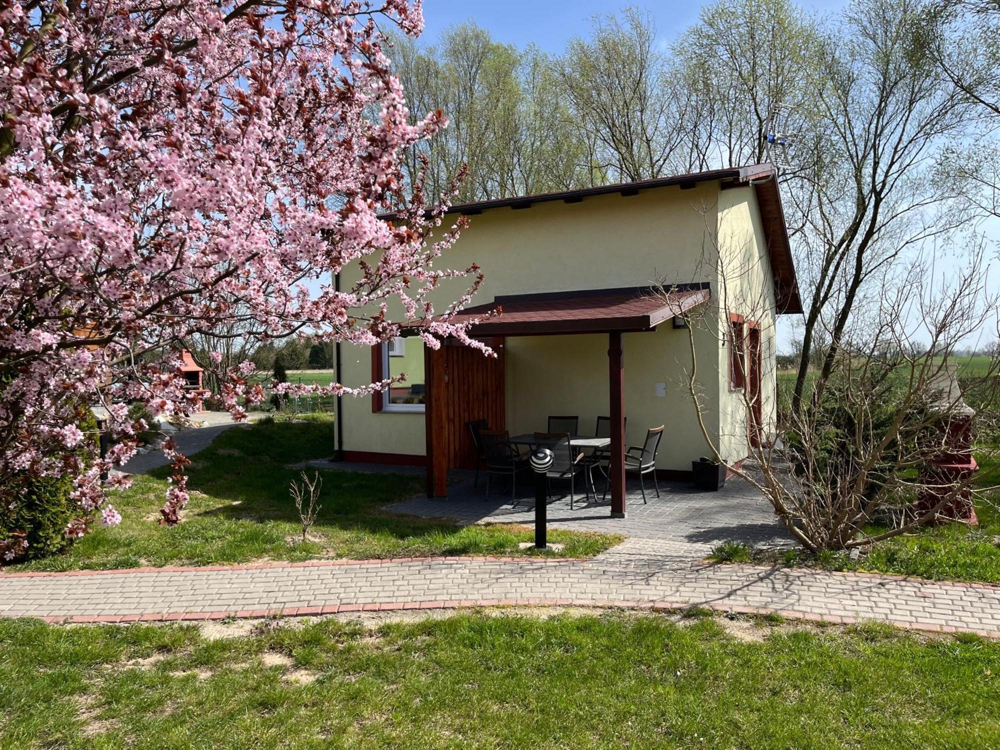 Domki I Pokoje Goscinne A A Malinowscy Stegna  Extérieur photo
