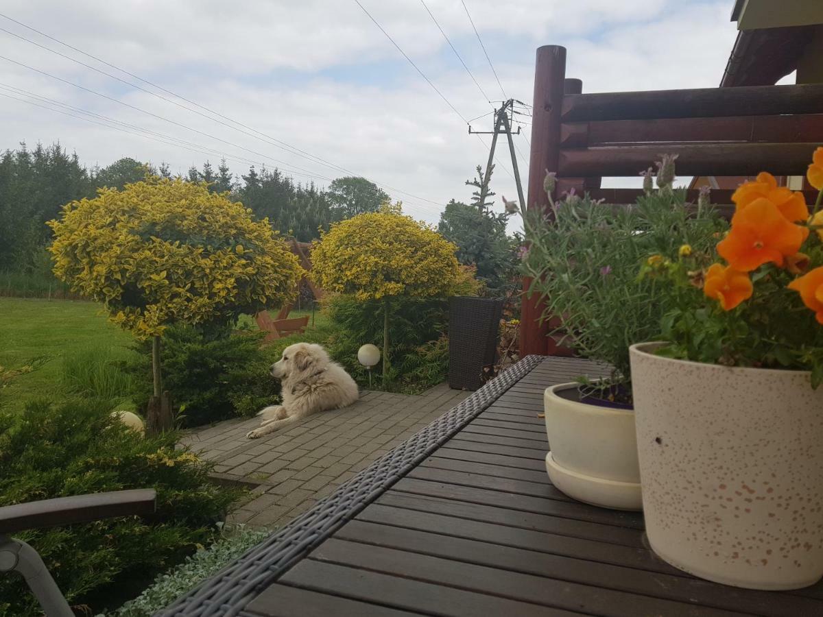 Domki I Pokoje Goscinne A A Malinowscy Stegna  Extérieur photo